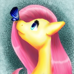 Size: 900x900 | Tagged: safe, artist:dertaii, fluttershy, butterfly, g4, butterfly on nose, insect on nose, solo