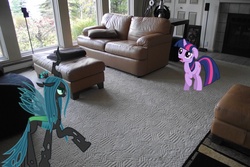 Size: 4000x2664 | Tagged: safe, artist:venom2204, queen chrysalis, twilight sparkle, g4, blurry, carpet, couch, house, ponies in real life, sad, vector