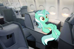 Size: 1023x683 | Tagged: safe, lyra heartstrings, pony, unicorn, g4, aircraft, irl, jet, plane, ponies in real life, sitting lyra