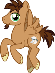 Size: 847x1122 | Tagged: safe, artist:alisonwonderland1951, oc, oc only, pony, goatee, good shepherd, simple background, solo, transparent background, unshorn fetlocks, vector