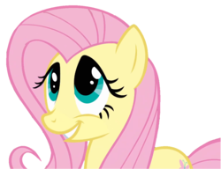 Size: 1025x786 | Tagged: safe, artist:acuario1602, fluttershy, pony, g4, female, solo