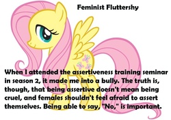 Size: 570x402 | Tagged: dead source, safe, fluttershy, g4, feminism, feministmylittlepony, meta, text, tumblr