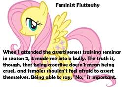 Size: 570x402 | Tagged: dead source, safe, fluttershy, pegasus, pony, g4, female, feminism, feministmylittlepony, mare, meta, text, tumblr