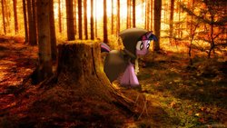 Size: 1280x720 | Tagged: safe, artist:colorfulbrony, clover the clever, twilight sparkle, g4, forest, irl, photo, ponies in real life, scrunchy face