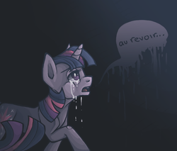 Size: 900x768 | Tagged: safe, artist:mustacheyum, twilight sparkle, g4, crying, french, raised hoof