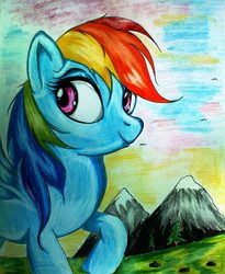 Size: 1457x1781 | Tagged: safe, artist:tomek2289, rainbow dash, pony, g4, female, mountain, solo, traditional art