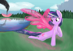 Size: 2841x2000 | Tagged: safe, artist:etiluos, twilight sparkle, fairy, g4, crash, crying, pond, smoke, sunset, water