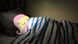 Size: 2816x1584 | Tagged: safe, artist:fluttershyhd, fluttershy, g4, bed, blanket, irl, photo, ponies in real life, sleeping