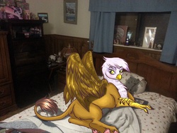 Size: 3264x2448 | Tagged: safe, artist:archer h, gilda, griffon, g4, irl, paw pads, photo, ponies in real life