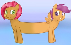 Size: 1000x642 | Tagged: safe, edit, babs seed, scootaloo, earth pony, pegasus, pony, g4, babscoot (fusion), cutie mark crusaders, freckles, fusion, grin, pushmi-pullyu, this isn't even my final form, together forever, wat, we have become one, what has science done