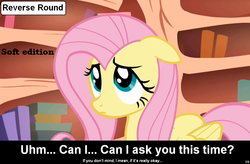 Size: 1024x672 | Tagged: safe, fluttershy, comic:celestia's servant interview, g4, caption, floppy ears, interview, meta