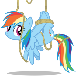 Size: 4000x4000 | Tagged: safe, artist:stinkehund, rainbow dash, pegasus, pony, fall weather friends, g4, bondage, female, hogtied, mare, rope, simple background, solo, spread wings, suspended, tied up, transparent background, upside down, wings