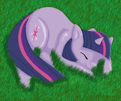 Size: 1850x1547 | Tagged: safe, artist:kittyheadcase, twilight sparkle, g4, grass, sleeping