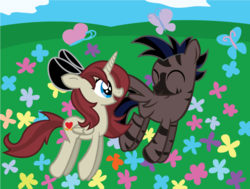 Size: 902x683 | Tagged: safe, artist:alisonwonderland1951, oc, oc only, oc:akira, oc:stormy, alicorn, butterfly, hybrid, pony, zebroid, alicorn oc, bow, vector