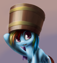 Size: 863x943 | Tagged: safe, artist:sokolas, rainbow dash, pegasus, pony, g4, bucket, female, headbucket, solo, worried