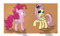 Size: 2121x1276 | Tagged: safe, artist:anevilzebra, fluttershy, pinkie pie, black widow, earth pony, pegasus, pony, spider, g4, arachnophobia, cute, duo, female, freaked out, mare, nope, raised hoof, shyabetes, this will end in tears, this will not end well