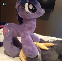 Size: 601x598 | Tagged: artist needed, safe, derpy hooves, twilight sparkle, pegasus, pony, g4, female, irl, mare, photo, plushie
