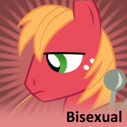 Size: 250x250 | Tagged: safe, big macintosh, earth pony, pony, g4, bisexual, male, meta, solo, spoiler tag, spoilered image joke, stallion