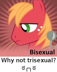 Size: 250x318 | Tagged: safe, big macintosh, earth pony, pony, g4, male, meta, question, solo, spoiler tag, spoilered image joke, stallion, text, trisexual
