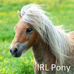 Size: 250x250 | Tagged: safe, pony, barely pony related, irl, meta, photo, spoilered image joke