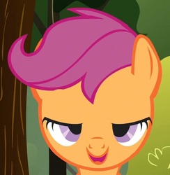 Size: 823x842 | Tagged: safe, screencap, scootaloo, pegasus, pony, g4, female, filly