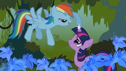 Size: 1280x720 | Tagged: safe, screencap, rainbow dash, twilight sparkle, bridle gossip, g4