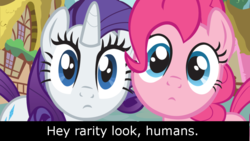 Size: 900x506 | Tagged: safe, pinkie pie, rarity, earth pony, pony, unicorn, g4, duo, fourth wall, fourth wall ponies, image macro, talking about humans