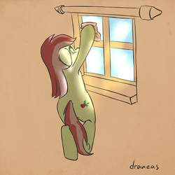 Size: 1000x1000 | Tagged: safe, artist:draneas, roseluck, earth pony, pony, g4, 30 minute art challenge, bipedal, cleaning, female, solo, window