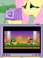 Size: 563x771 | Tagged: safe, fluttershy, human, pony, yoshi, g4, crying, exploitable meme, female, fire flower, grass, gravestone, graveyard, implied death, lip bite, luigi, male, mare, mario, platformer, power-up, princess peach, rise of the mushroom kingdom, sad, super mario, tanooki suit, teary eyes, toad (mario), tv meme, vgdc