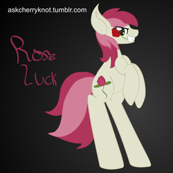 Size: 1280x1280 | Tagged: safe, artist:cherryknot, roseluck, pony, g4, 30 minute art challenge, bipedal, rose