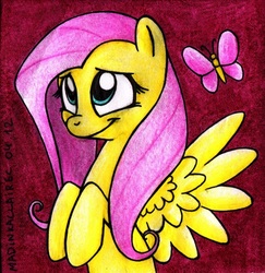 Size: 1112x1145 | Tagged: safe, artist:madinkaclairec, fluttershy, butterfly, g4, traditional art