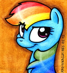 Size: 1105x1217 | Tagged: safe, artist:madinkaclairec, rainbow dash, pony, g4, female, solo, traditional art