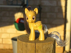 Size: 1600x1200 | Tagged: safe, daring do, g4, brushable, customized toy, female, irl, photo, toy