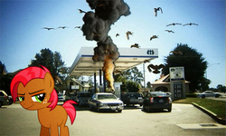 Size: 460x276 | Tagged: safe, babs seed, bird, pony, g4, birdemic, car, gas station, irl, photo, ponies in real life
