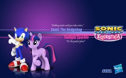 Size: 1920x1200 | Tagged: safe, artist:fuzon-s, artist:hashbro, twilight sparkle, g4, 3d, crossover, female, male, sonic the hedgehog, sonic the hedgehog (series), wallpaper