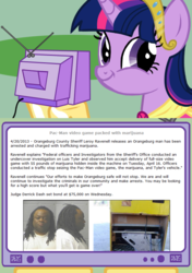 Size: 564x800 | Tagged: safe, twilight sparkle, alicorn, pony, g4, exploitable meme, female, mare, tv meme, twiface, twilight sparkle (alicorn)