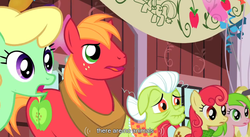 Size: 925x508 | Tagged: safe, screencap, apple bumpkin, apple honey, big macintosh, granny smith, red gala, earth pony, pony, g4, the last roundup, elderly, female, male, mare, stallion, youtube caption