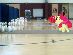 Size: 1600x1200 | Tagged: safe, artist:paris7500, apple bloom, human, g4, basketball court, bowling, high school, mats, ponies in real life, vector