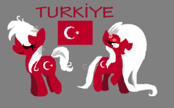 Size: 665x412 | Tagged: safe, artist:melting-milkyway, oc, oc only, country, flag, nation ponies, text, turkey (country)