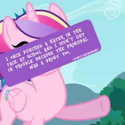 Size: 500x500 | Tagged: safe, princess cadance, g4, brony, bully, hater, i want to believe, meta, pony confession, seems legit