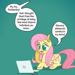Size: 1000x1000 | Tagged: safe, artist:ponett, fluttershy, g4, ask, computer, fourth wall