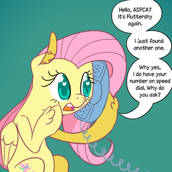Size: 1000x1000 | Tagged: safe, artist:ponett, fluttershy, pegasus, pony, g4, dialogue, ear fluff, female, folded wings, green background, hoof hold, mare, open mouth, phone, phone call, simple background, sitting, solo, speech bubble, talking, talking on phone, unshorn fetlocks, wings
