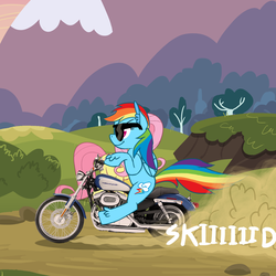 Size: 1000x1000 | Tagged: safe, artist:ponett, fluttershy, rainbow dash, g4, motorcycle, riding