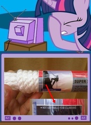 Size: 562x771 | Tagged: safe, twilight sparkle, g4, climbing, exploitable meme, facehoof, fail, false advertisement, meme, misleading, rope, tv meme