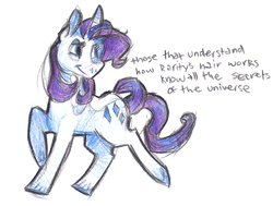 Size: 968x731 | Tagged: safe, artist:snickerdoobles, rarity, g4, female, solo, text