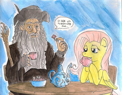 Size: 900x705 | Tagged: safe, artist:raph13th, fluttershy, human, pegasus, pony, g4, dialogue, drugs, duo, female, human male, lidded eyes, lord of the rings, male, mare, radagast, radagast the brown, speech bubble, tea