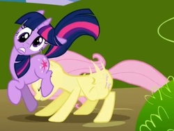 Size: 560x421 | Tagged: safe, screencap, fluttershy, twilight sparkle, pegasus, pony, unicorn, friendship is magic, g4, derp, duo, faceful of ass, female, headbutt, mare, out of context, unicorn twilight