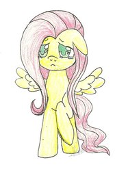 Size: 774x1033 | Tagged: safe, artist:maplesunrise, fluttershy, g4, traditional art