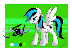 Size: 900x643 | Tagged: safe, artist:maplesunrise, oc, oc only, oc:strider, pegasus, pony