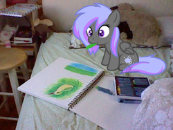 Size: 640x480 | Tagged: safe, artist:maplesunrise, oc, oc only, ponies in real life